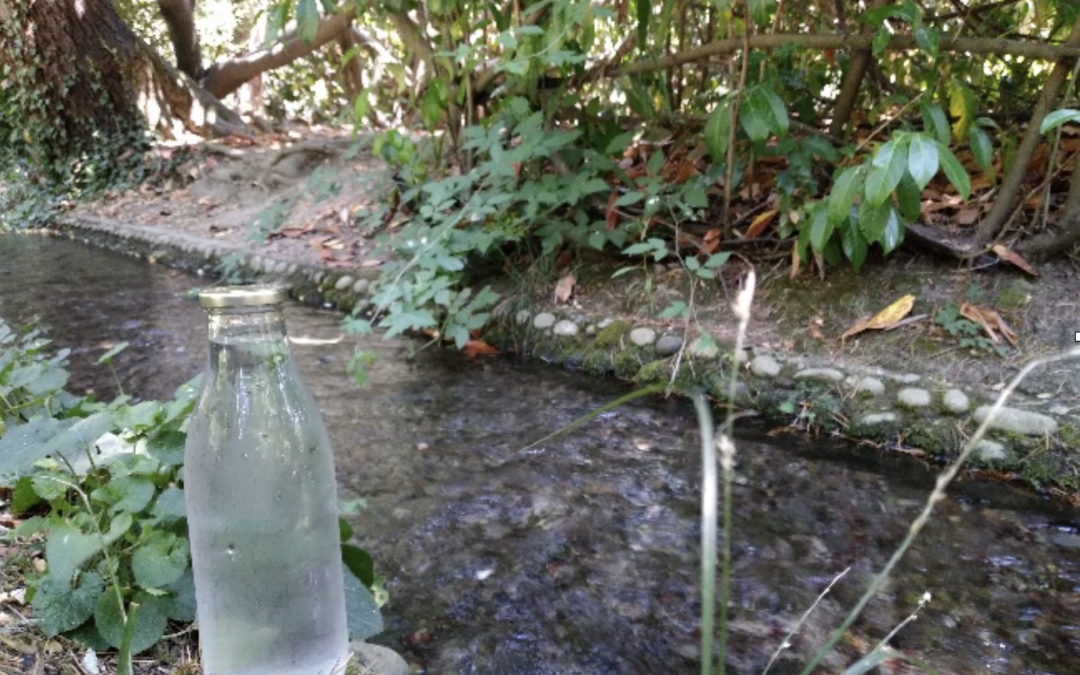 Séance d’analyse de pratiques professionnelles au jardin public
