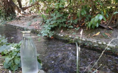 Séance d’analyse de pratiques professionnelles au jardin public